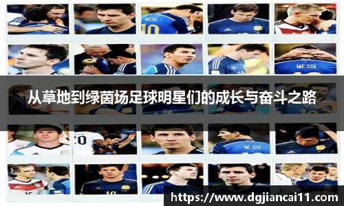 西汉姆联中文官网